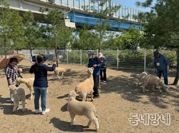 대구 북구치매안심센터, 가정의 달 맞이 야외 치유프로그램 운영