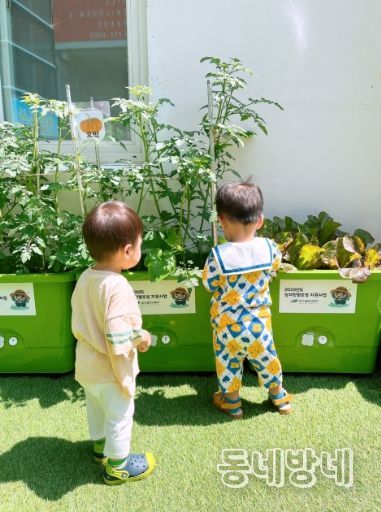 도시농업 상자텃밭 분양-연암어린이집