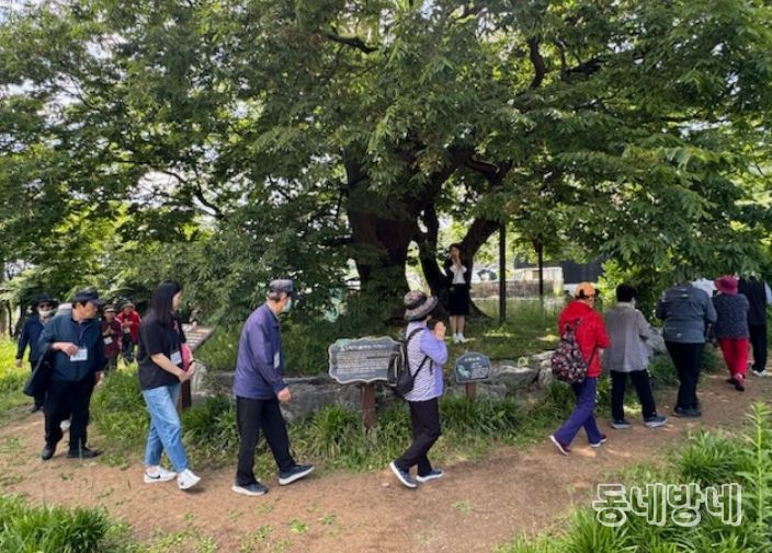 산림치유 프로그램