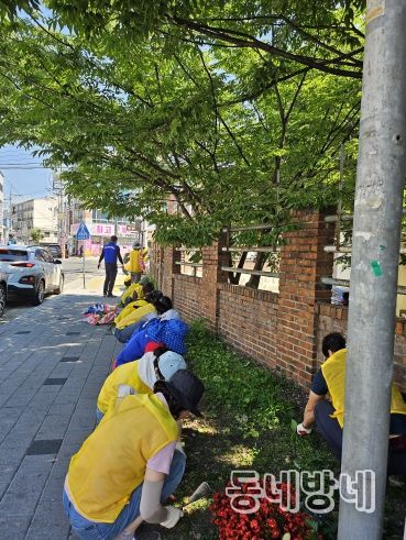 대구 북구 태전1동 깨끗한 마을 조성을 위한 여름꽃 식재 및 환경정비 실시