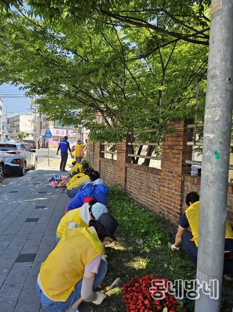 대구 북구 침산2동 새마을협의회‧새마을부녀회, 형형색색 여름꽃 식재