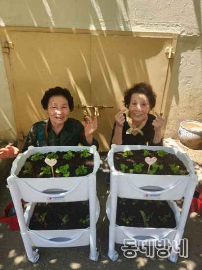 대구 북구 복현1동 지역사회보장협의체, '실내텃밭가꾸기 키트 나눔 사업'추진