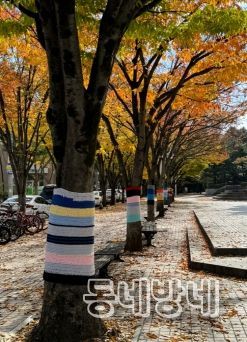 우리 대구 북구 청소년들의 손으로 “행복 북구 가로수에 따뜻함을 입히다”