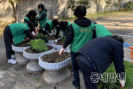 대구 북구 구암동 새마을협의회 · 부녀회, 겨울꽃 심기 및 환경정비 활동 펼쳐