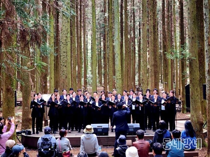 서귀포의 관광명소에서 듣는 서귀포만의 따스한 음악