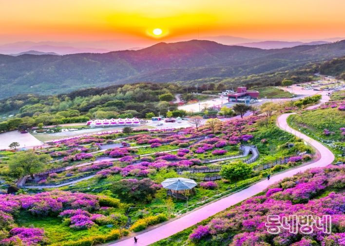 경남 산청 황매산 철쭉제(5월 1일~5월 11일)