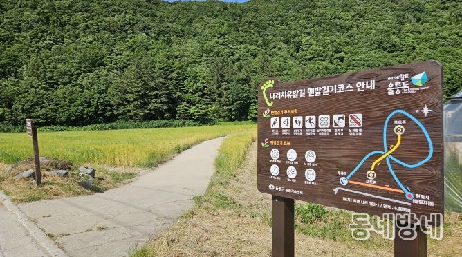 나리분지 보리밭 조성