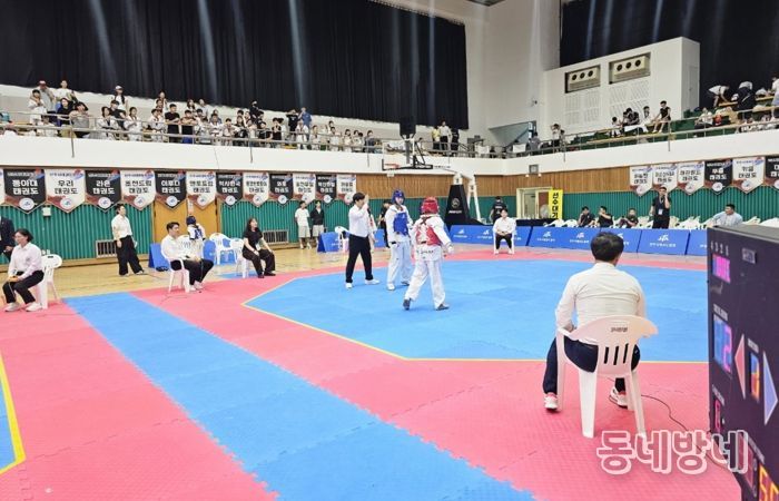 열정과 패기의‘제13회 진주시장배 태권도대회’성료