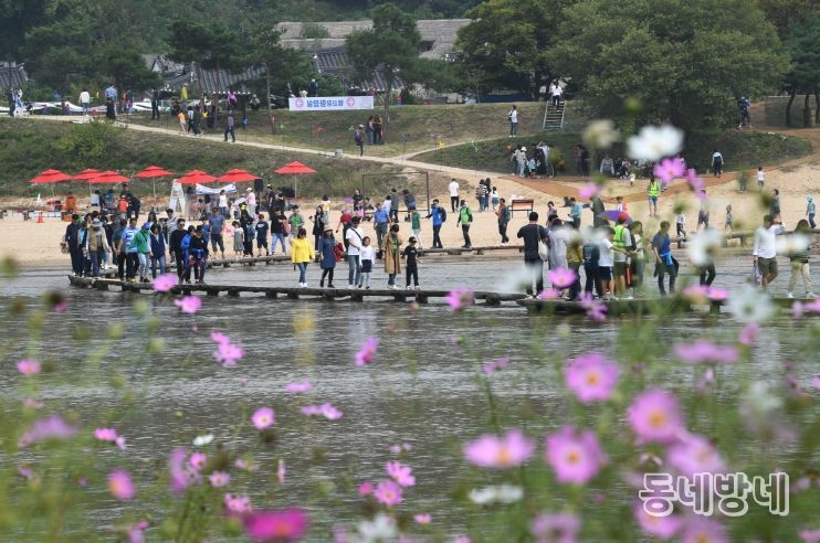 관광객들이 무섬마을 외나무다리를 건너고 있다.