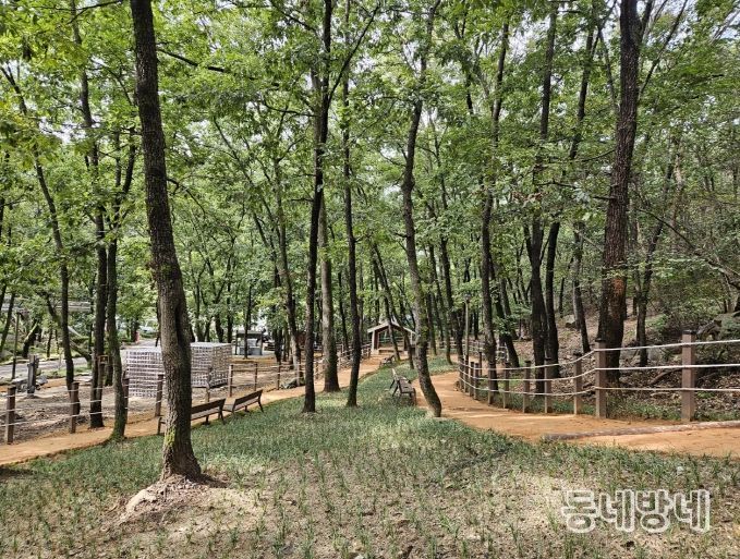 안양예술공원 맨발산책길