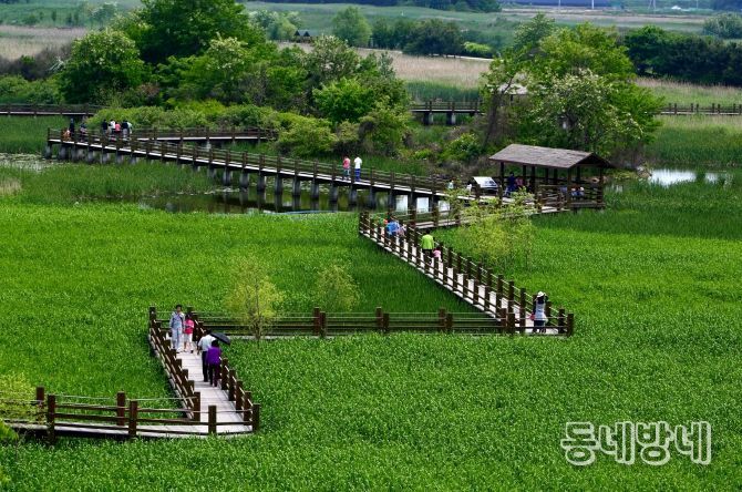 안산7경 안산갈대습지