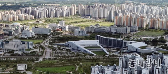 충남도cjd