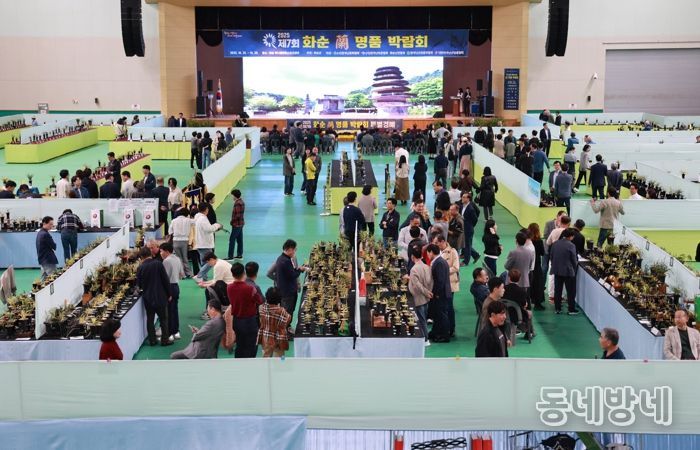 제7회 화순 난 명품 박람회 대상 호피반 ‘백호’