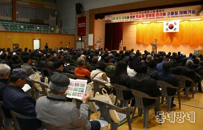 경북도, 복숭아 탄저병 방제는 이렇게 하세요!