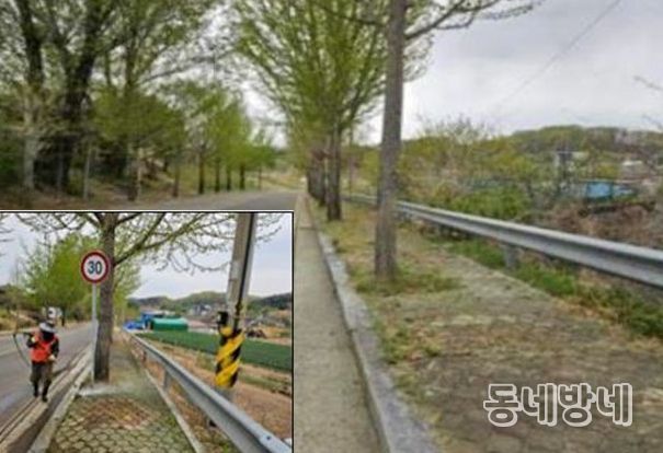 창녕군, 2025년 도로정비 종합평가 ‘최우수’ 기관 선정 고압세척