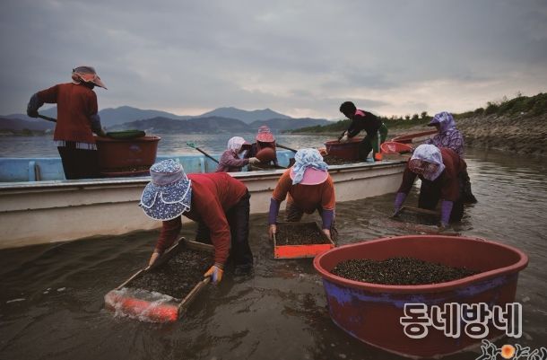광양시, 세계중요농업유산 등재‧