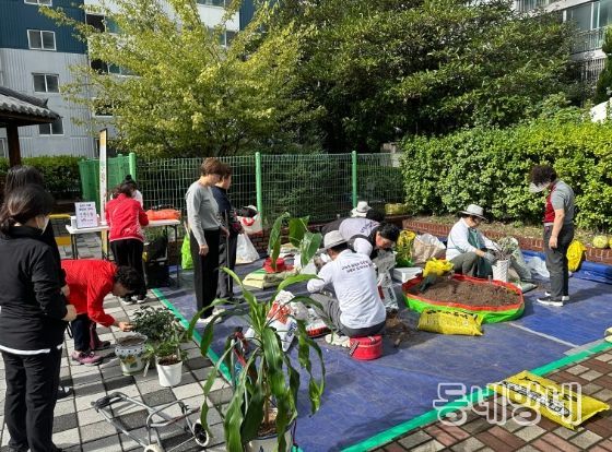 부산 남구, '2025년 반려식물 분갈이 지원사업' 성황리 종료