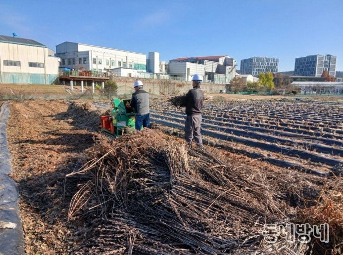 1. 천안시농업기술센터 영농부산물 파쇄지원단이 농가에 방문해 파쇄 작업을 진행하고 있다.