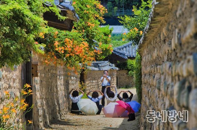 달성군 전국 사진공모전 수상작 사진 1(일반사진 부문 대상 '노치원 나들이')