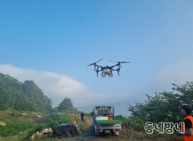 하동군, 밤나무 드론 방제