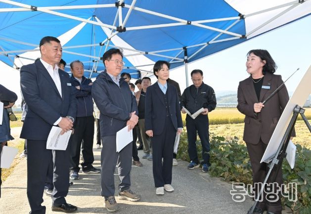 공주시 벼 수확·수매 현장 방문