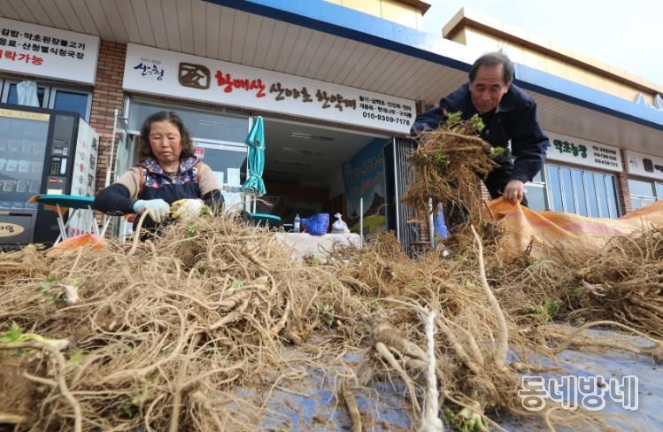 산청군, 동의보감촌 약초 판매장터 운영