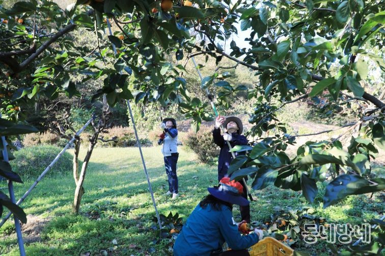 함양군 2025 하반기 농촌일손돕기