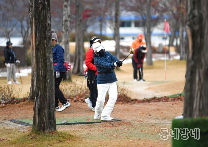 지난해 11월 열린 2024 전국 파크골프 왕중왕전