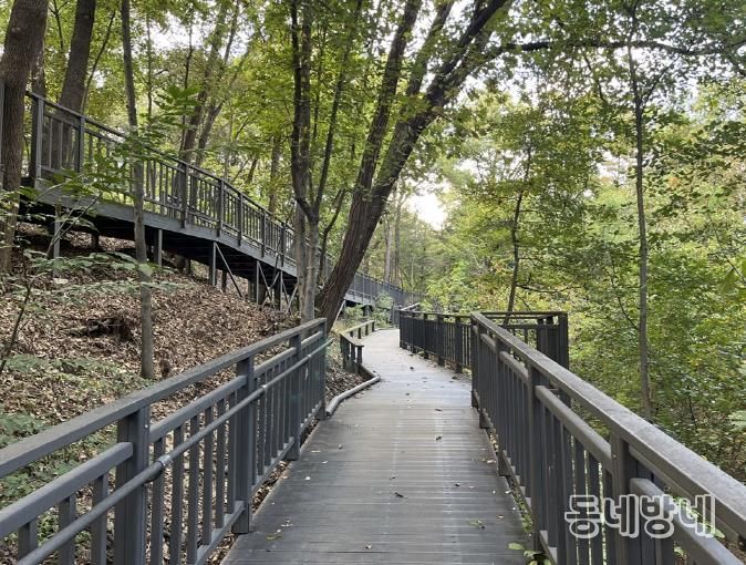 추동숲정원 데크길
