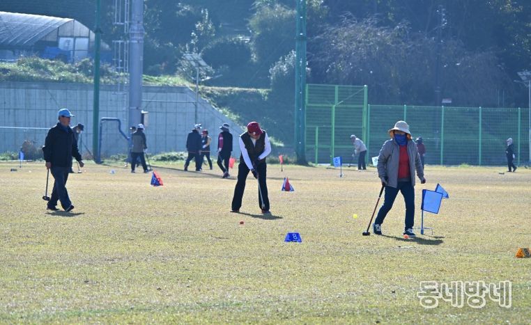 제17회 영호남 그라운드골프대회