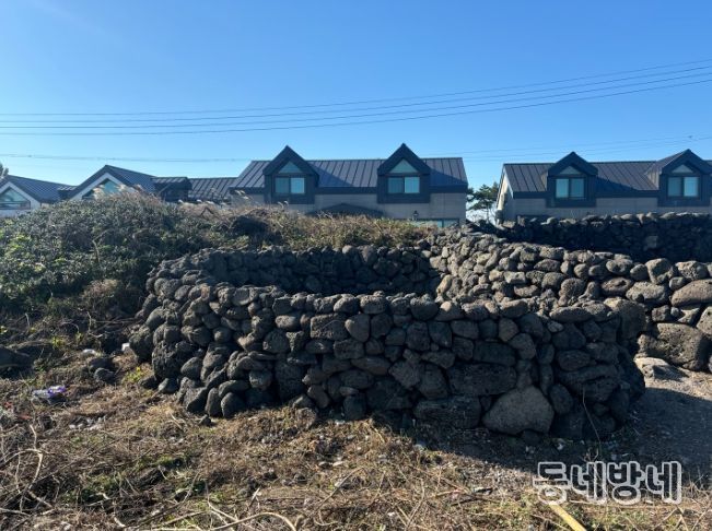 2024년 온평리 불턱 (온평리 1204-3지선))