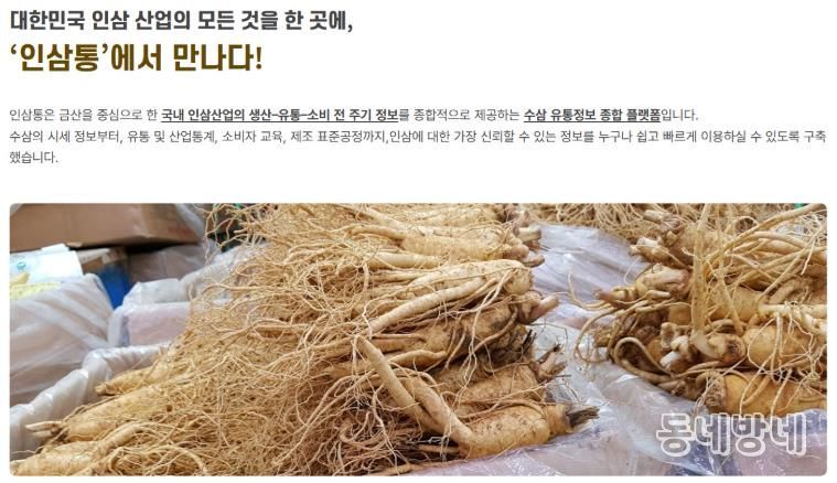 금산군 인삼통 홈페이지 캡처