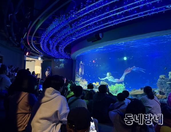 수원특례시 드림스타트 아동·가족이 아쿠아플라넷 관람을 하고 있다.