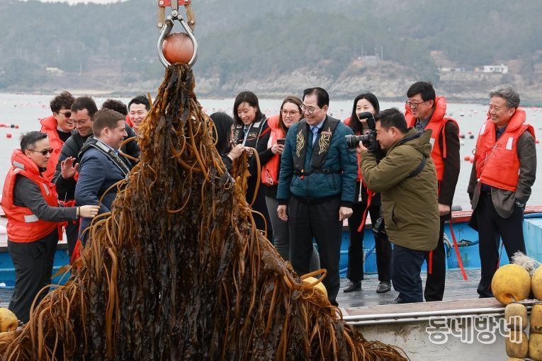 사진은 미 에너지부 산하기관 에너지 고등 계획원(ARPA-E) 관계자 완도군 해조류(미역) 양식장을 방문한 모습