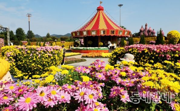 겨울빛축제 포스터, 2025 대한민국 국향대전 전경