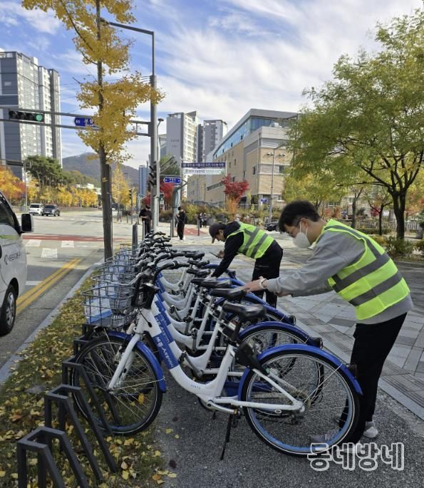 어울링 재배치 현장 사진