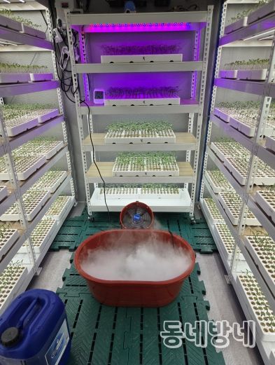 진안군, 전북농업기술원 ‘원예특작 맞춤형 신기술보급’ 공모사업 선정