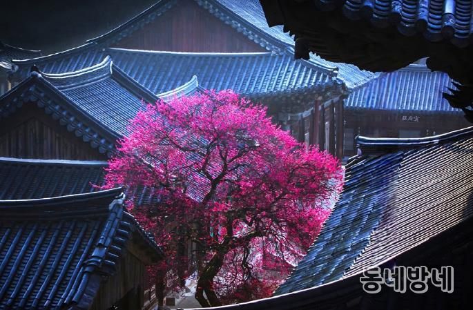 의정부시, 시민갤러리에서 제19회 (사)경기북부사진연구회 사진전 개최