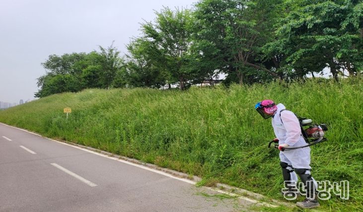 청주시, 무심천 등 국가하천 풀깎기 정비사업 완료