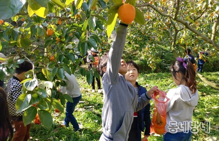 농촌체험휴향마을-곡성 가정마을