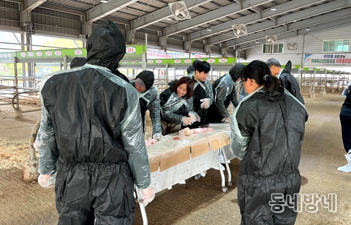 영암농업대학생, 한우 인공수정 실습 교육 받아