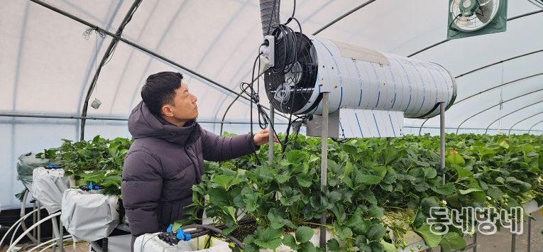 겨울철농업재해대책 본격 추진