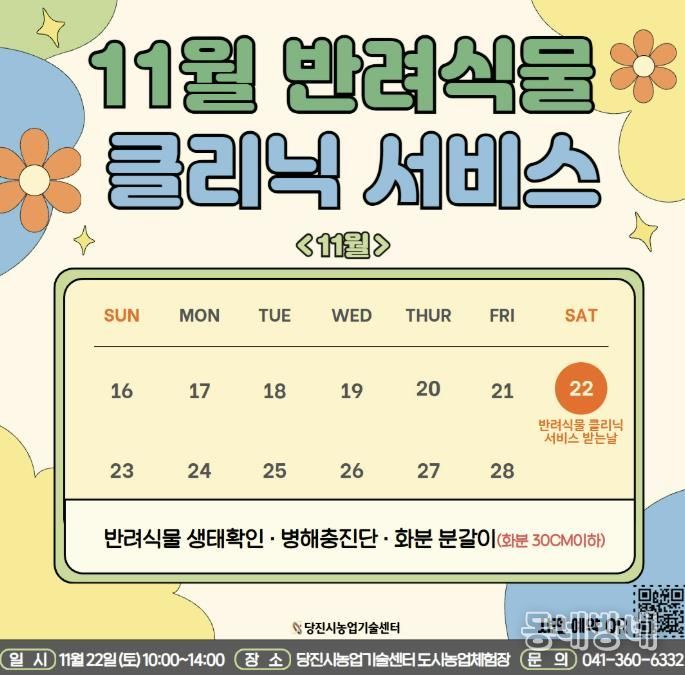 11월 반려식물 클리닉 카드뉴스