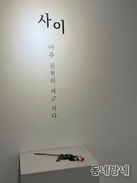 박소은 작가 초대전 <사이, 그리고 꽃> 개최