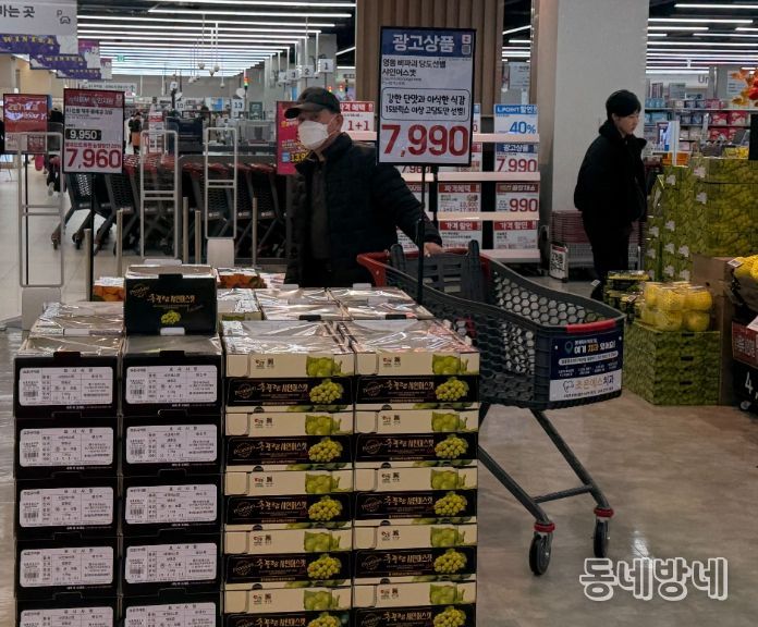 영동 메이빌 샤인머스캣, 롯데마트 전 지점에서 진행