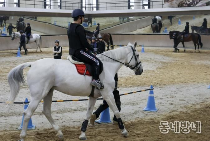시민 무료 승마 교실 모습