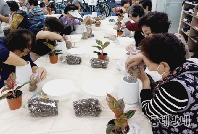 어르신들이 원예프로그램에 참여하고 있는 모습