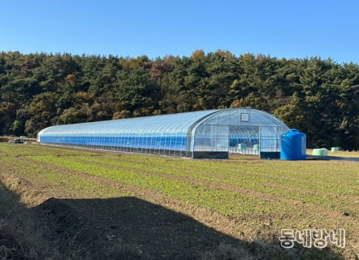 고성군 마을 공동 소득작물 육성 사업