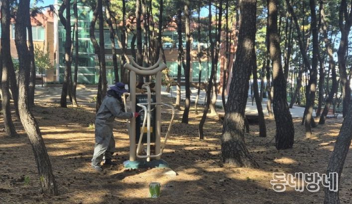 종려나무 월동 준비