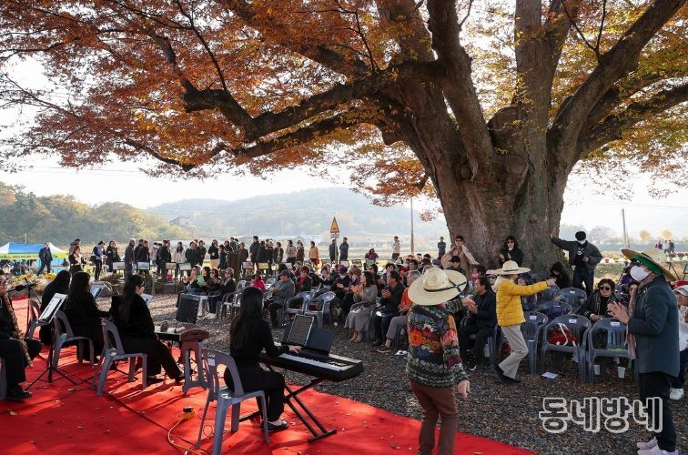 영암군 엄길마을 들녘과 고목의 합창 음악회